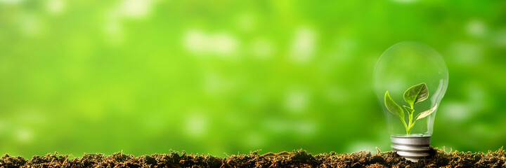 Zedengines India Pvt. Ltd.