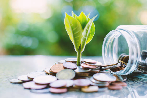 Seed Funding